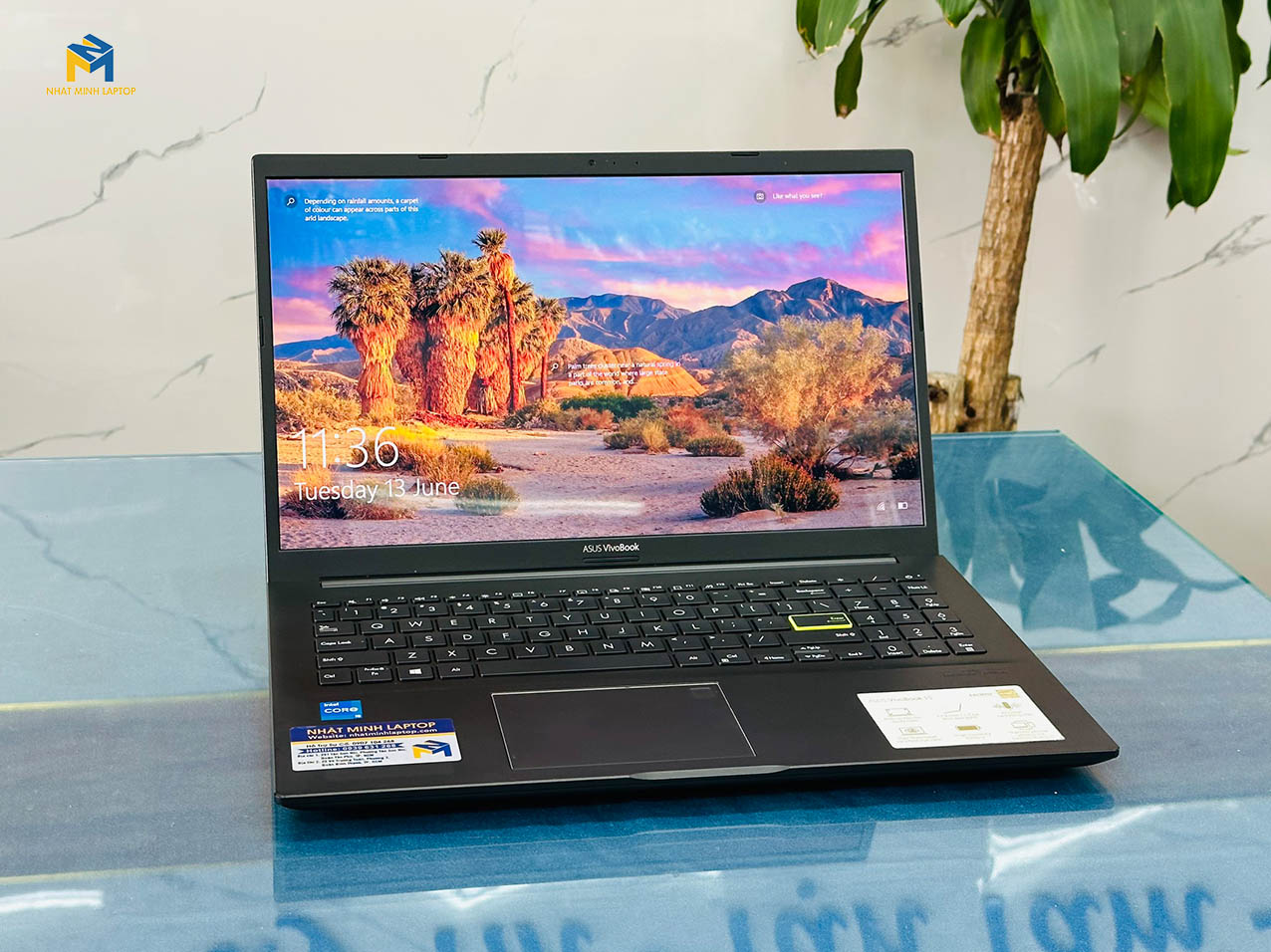 laptop asus giá rẻ