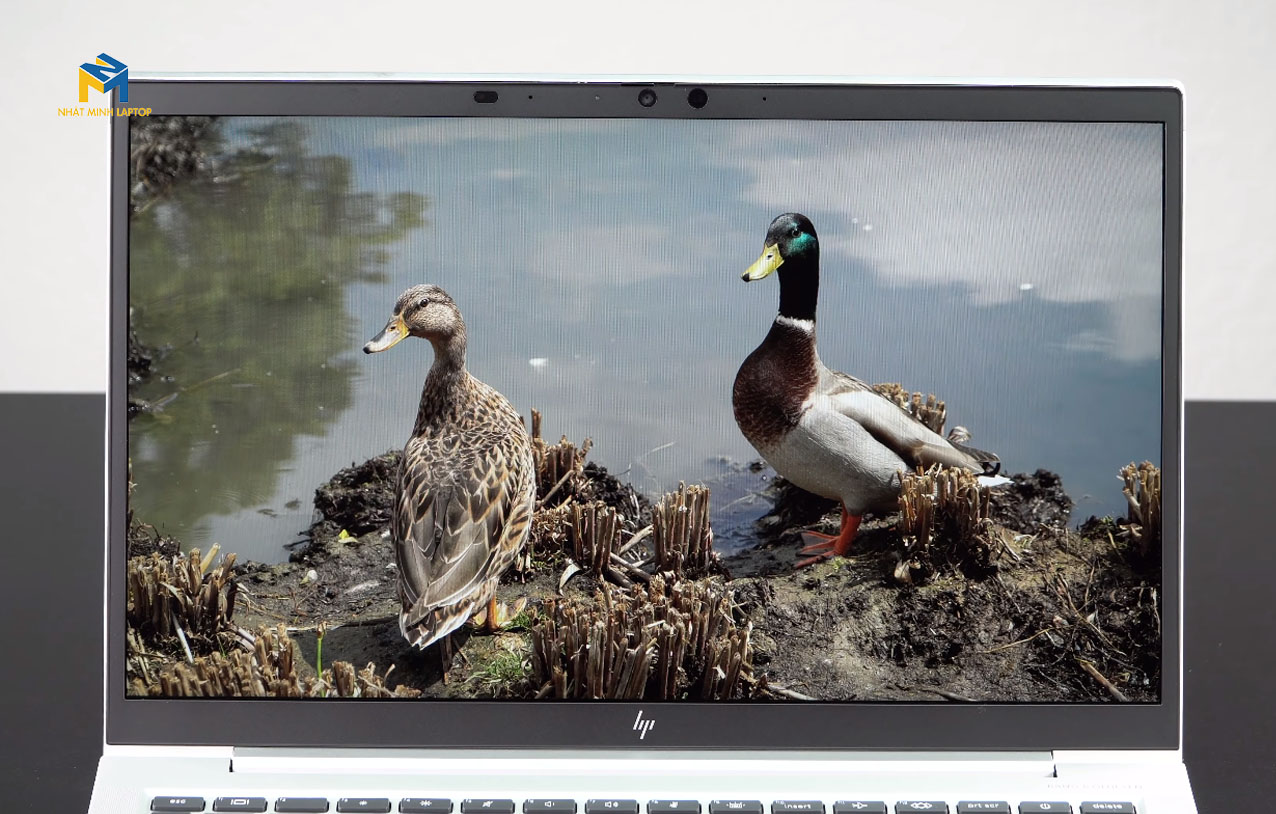 hp elitebook 845 g8 giá rẻ