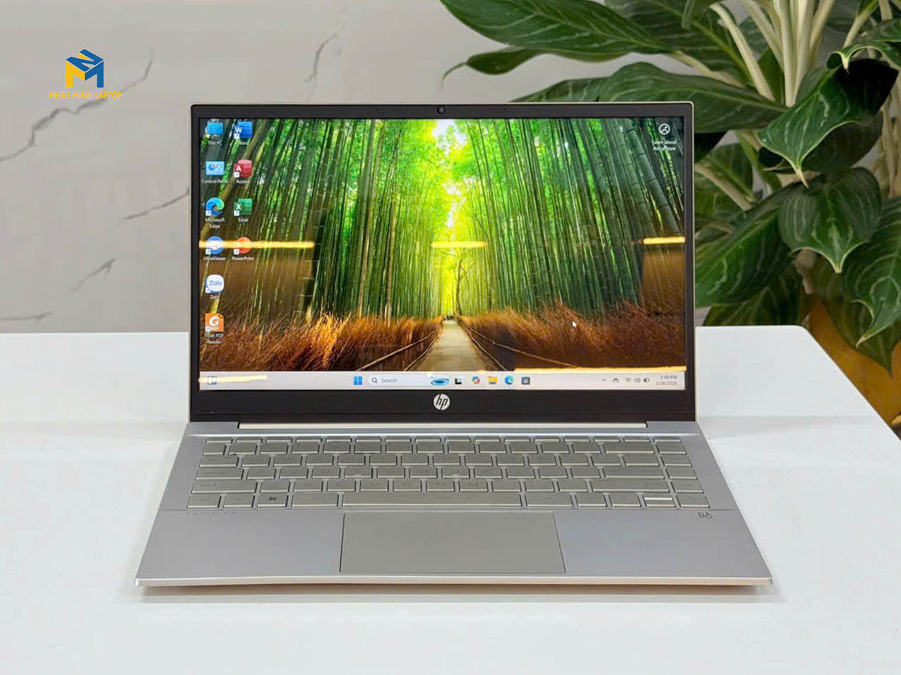 HP Pavilion 14-dv2074TU