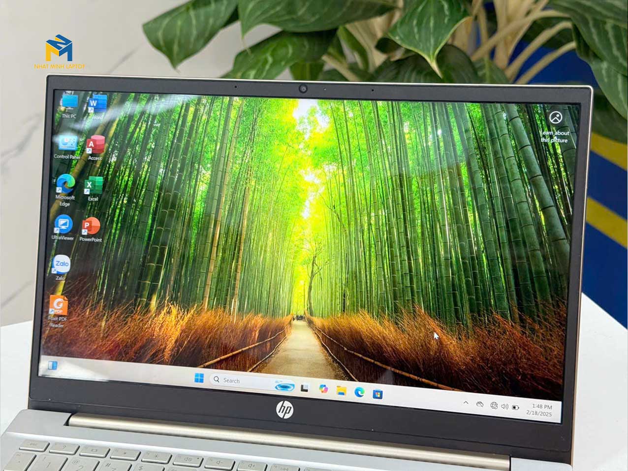 laptop HP Pavilion 14-dv2074TU