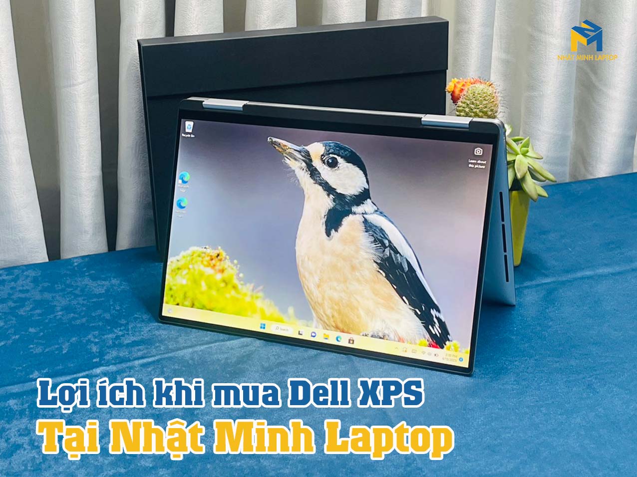 Lợi ích khi mua Laptop Dell XPS 13 cũ tại Nhật Minh Laptop 